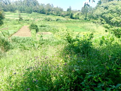 Half Acre for Sale - Image 1