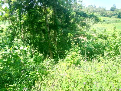 Half Acre for Sale - Image 6