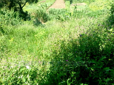 Half Acre for Sale - Image 2