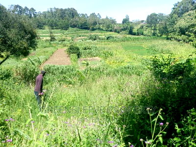 Half Acre for Sale - Image 4