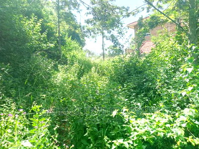 Half Acre for Sale - Image 5