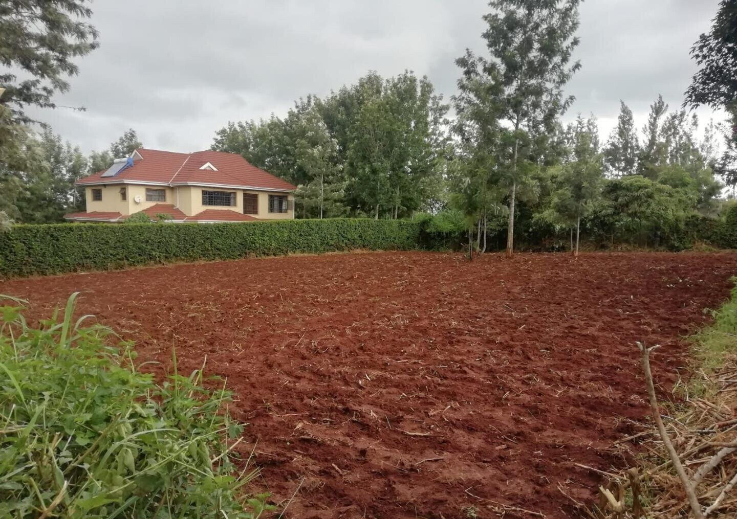 Quarter Acre Garden Plot
