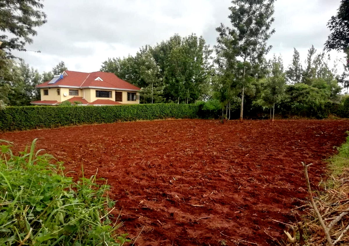 Quarter Acre Garden Plot