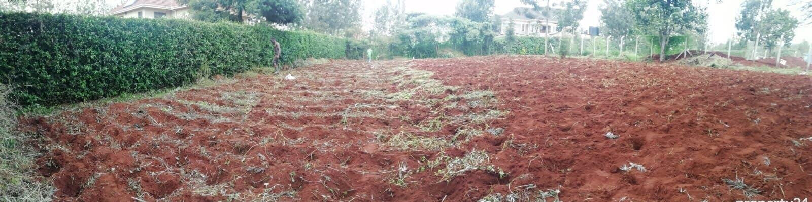 Quarter Acre Garden Plot