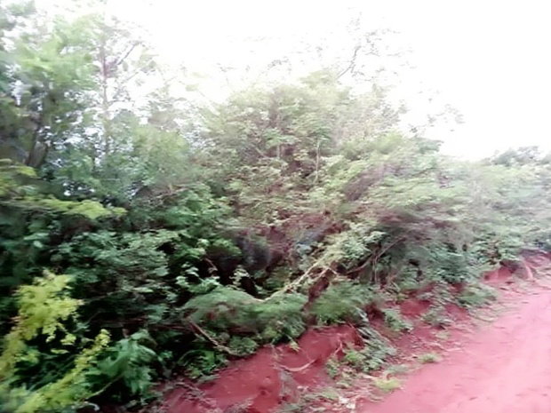 50 by 100 Ft Residential Plots in Mutomo Town