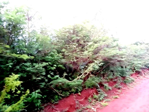50 by 100 Ft Residential Plots in Mutomo Town