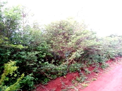 50 by 100 Ft Residential Plots in Mutomo Town - Image 2