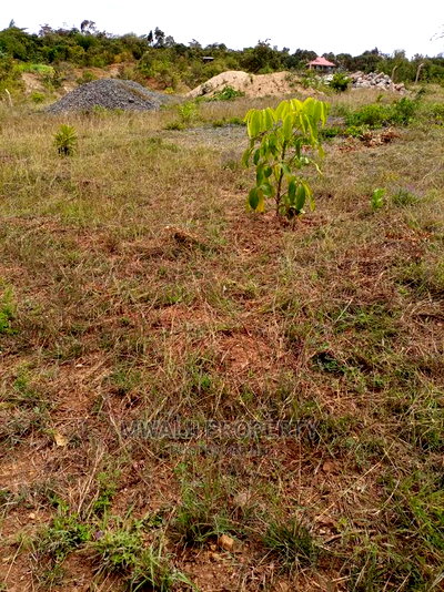 50 by 100 Ft Residential Plots in Mutomo Town - Image 1