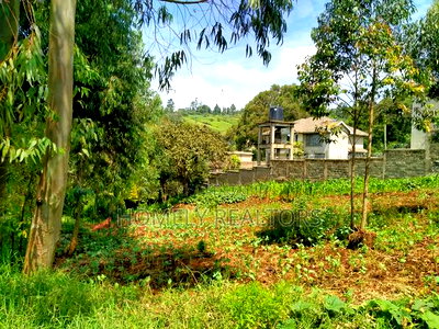 Quarter Acre Plot In Ngong Along Lemiso Road, Near Tarmac - Image 3