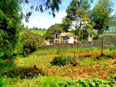 Quarter Acre Plot In Ngong Along Lemiso Road, Near Tarmac - Image 1