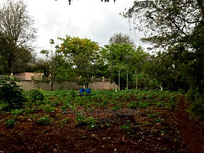 Half an Acre for Sale in a Gated Community in Karen - Image 2