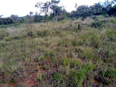 Prime Land for Sale in Lukenya - Image 4