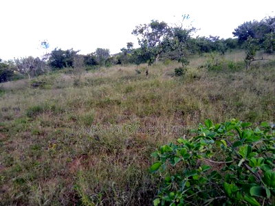 Prime Land for Sale in Lukenya - Image 1