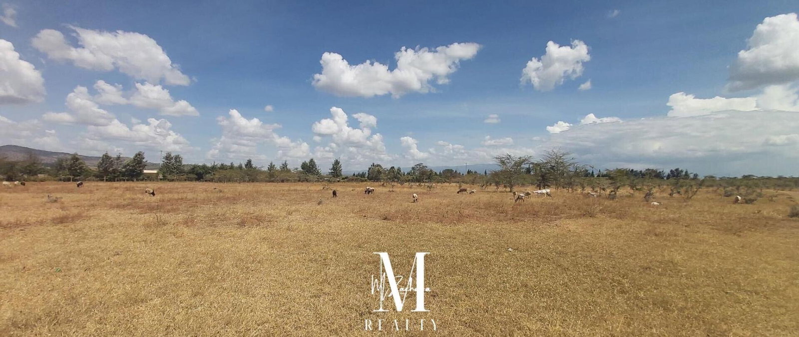14-Acre Land at KSh 2.5M per Acre