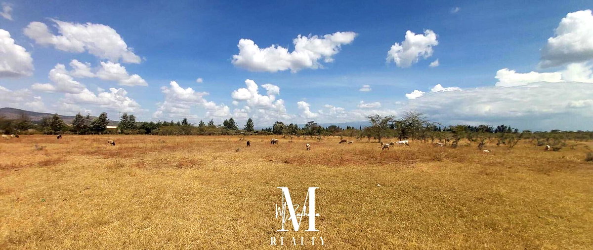 14-Acre Land at KSh 2.5M per Acre