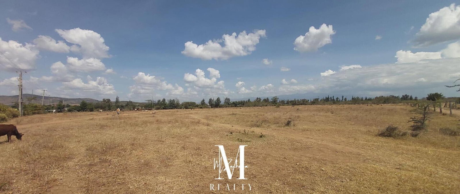 14-Acre Land at KSh 2.5M per Acre