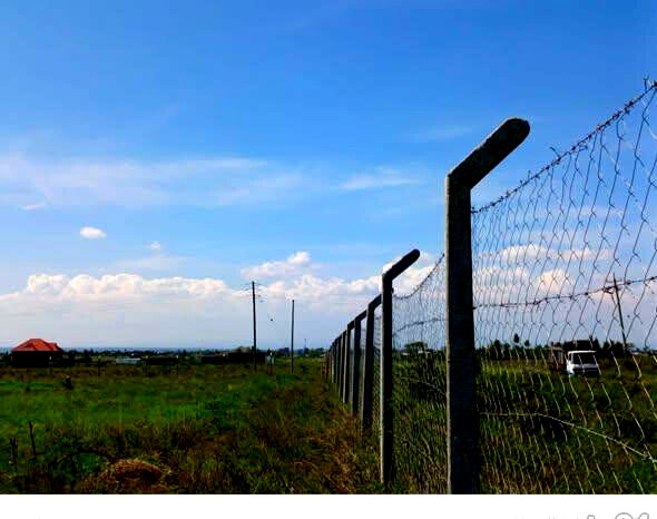1/8 Acre in Rafiki Gardens