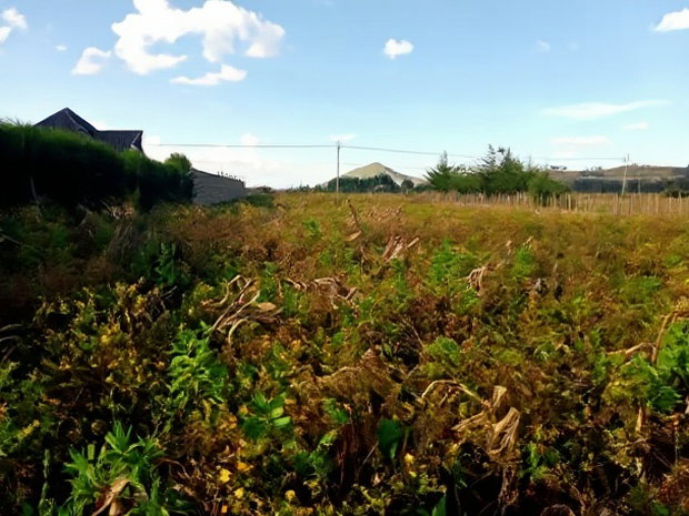 Prime Plots in Moiben Junction Centre