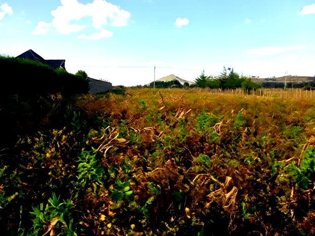 Prime Plots in Moiben Junction Centre
