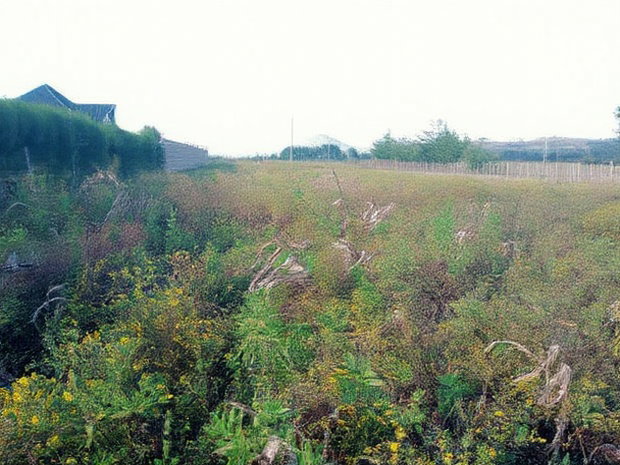 Prime Plots in Moiben Junction Centre