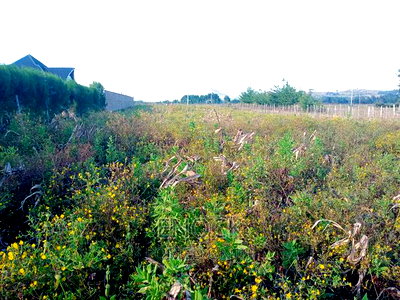 Prime Plots in Moiben Junction Centre - Image 1