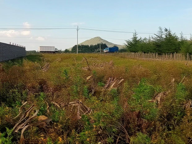 Prime Plots in Moiben Junction Centre