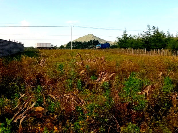 Prime Plots in Moiben Junction Centre
