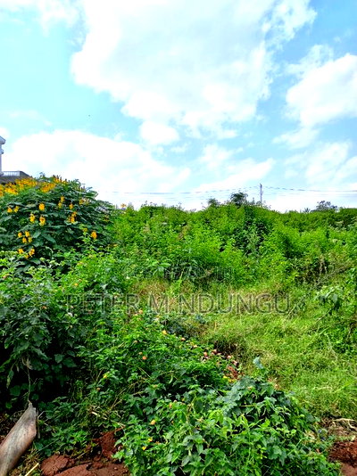 Garden Estate 1/2 Acre, Residential Plot - Image 4