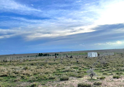 1-Acre Garden Plot with Parking at KSh 2.4M