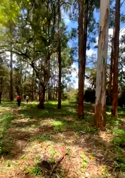5-Acre Karen Plot with Garden