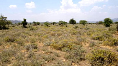 Prime 5 Acres Tinga at Per Acre - Image 10