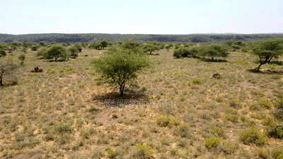 Prime 5 Acres Tinga at Per Acre - Image 4