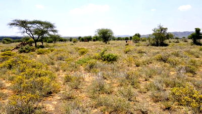Prime 5 Acres Tinga at Per Acre - Image 12