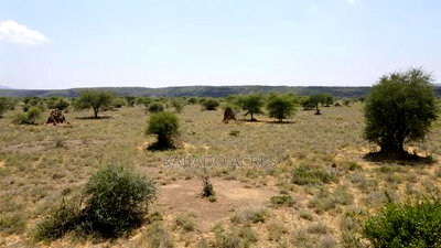 Prime 5 Acres Tinga at Per Acre - Image 9