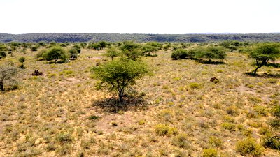 Prime 5 Acres Tinga at Per Acre - Image 3