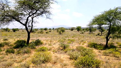 Prime 5 Acres Tinga at Per Acre - Image 1