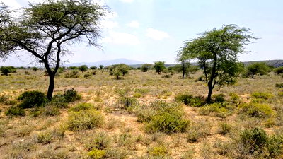 Prime 5 Acres Tinga at Per Acre - Image 2