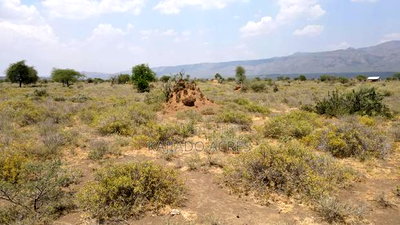 Prime 5 Acres Tinga at Per Acre - Image 11