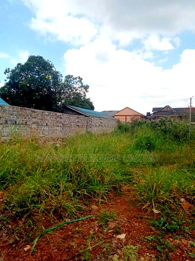 40 by 80 Plot at Lumumba Drive Roysambu - Image 6
