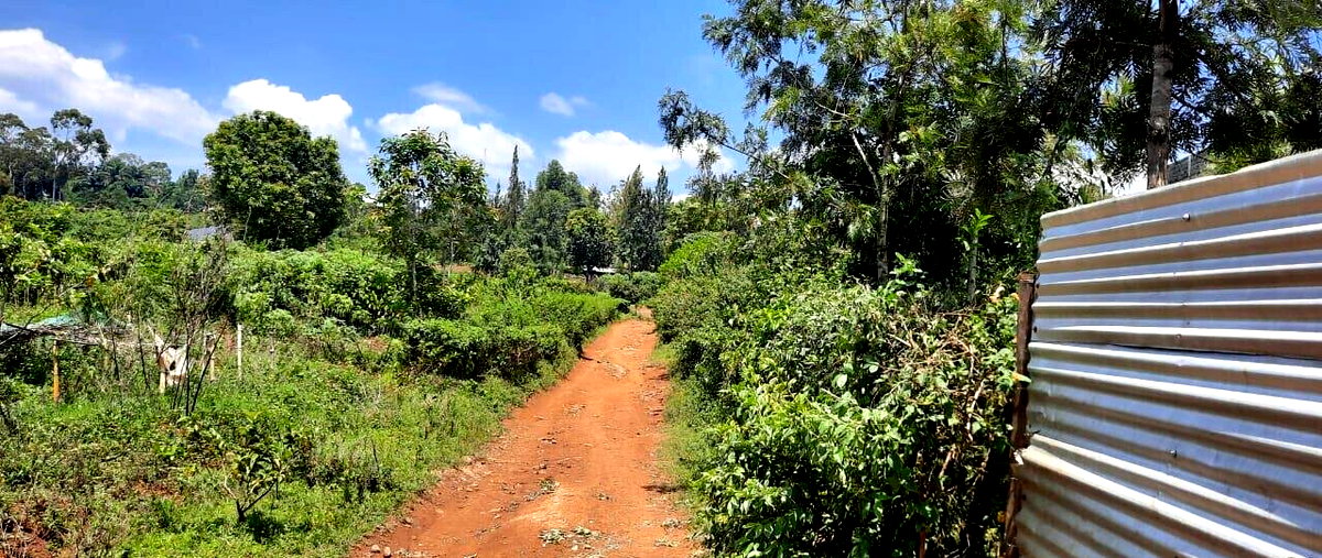 1/4 Acre Plot in Riat Mkendwa