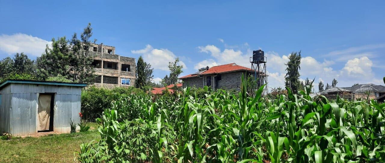 1/4 Acre Plot in Riat Mkendwa
