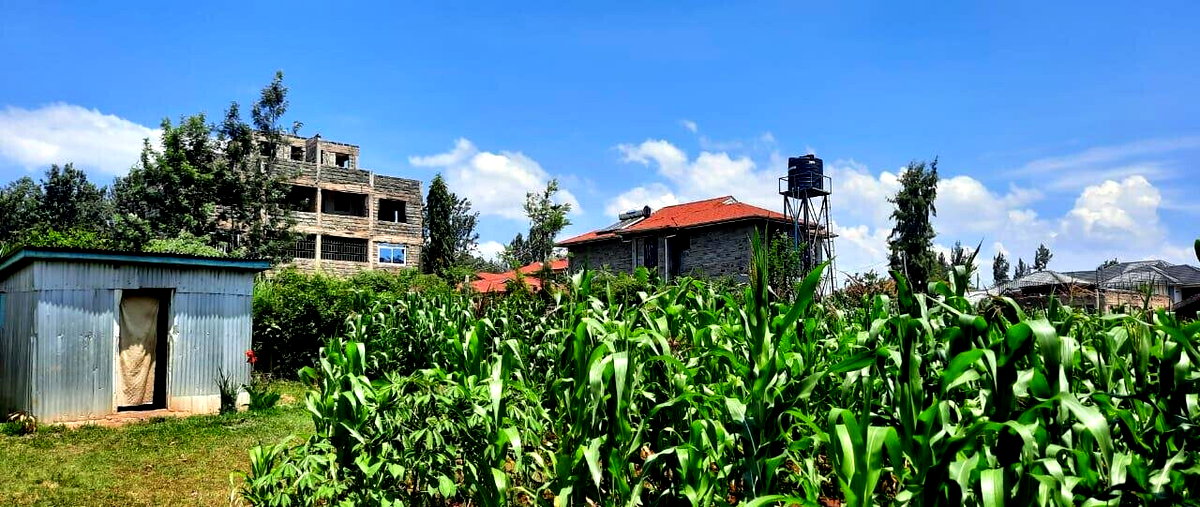 1/4 Acre Plot in Riat Mkendwa