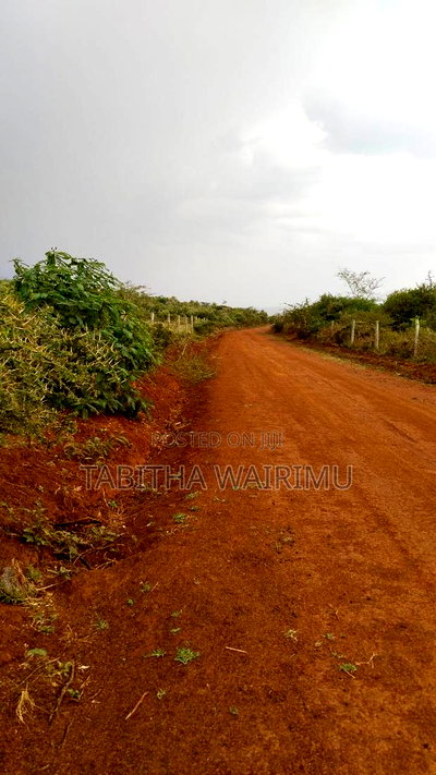Plots for Sale Near Vitis Along Ngong Suswa Road - Image 5