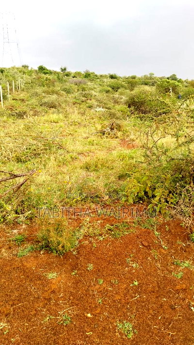 Plots for Sale Near Vitis Along Ngong Suswa Road - Image 7