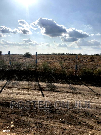 Prime Plots for Sale, Ready for Immediate Settlement - Image 1