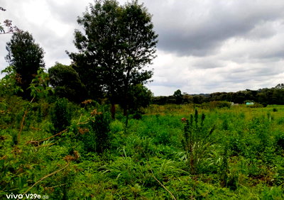 1-Acre Karen Plot with Garden