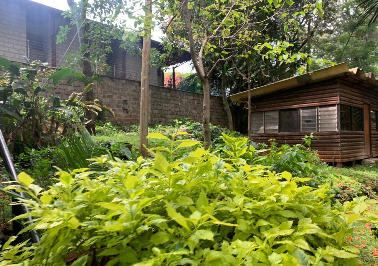 1.2-Acre Muthaiga Gem with Garden
