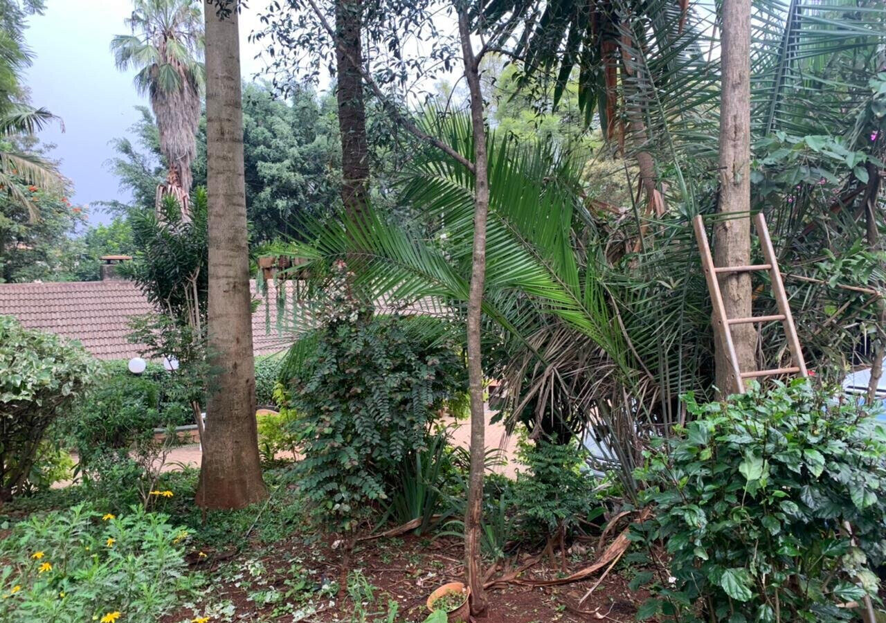 1.2-Acre Muthaiga Gem with Garden