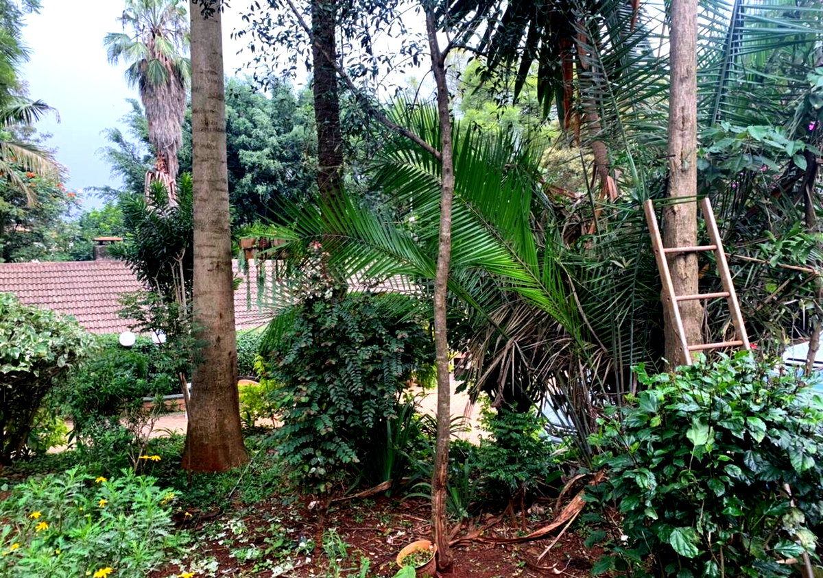 1.2-Acre Muthaiga Gem with Garden