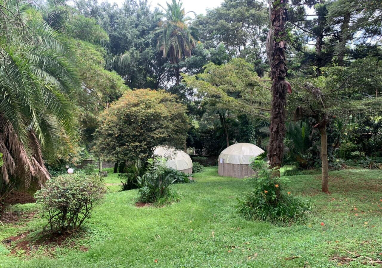 1.2-Acre Muthaiga Gem with Garden